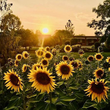 Quirindi Sunflower Motor Inn Ngoại thất bức ảnh