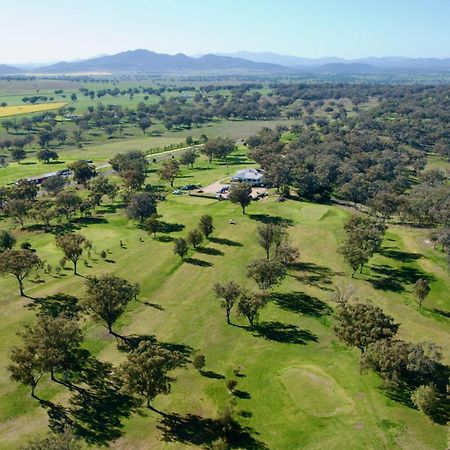 Quirindi Sunflower Motor Inn Ngoại thất bức ảnh