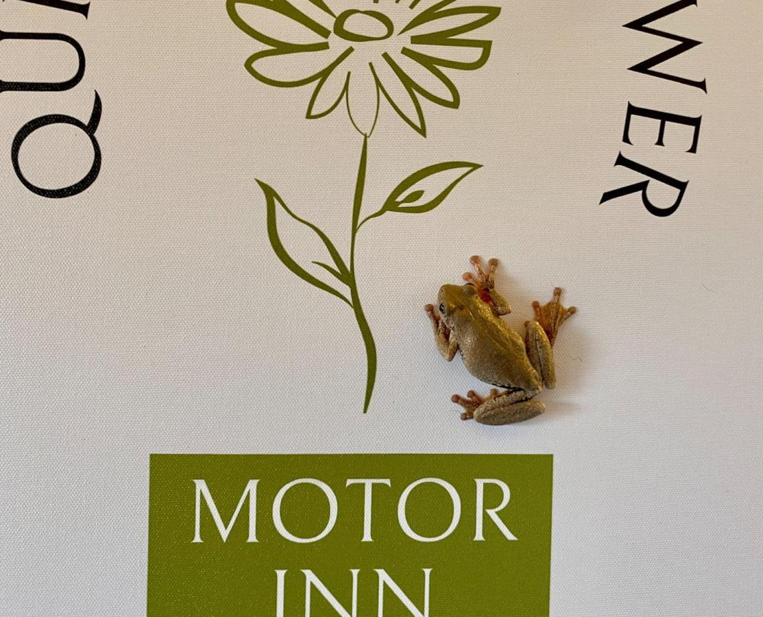 Quirindi Sunflower Motor Inn Ngoại thất bức ảnh
